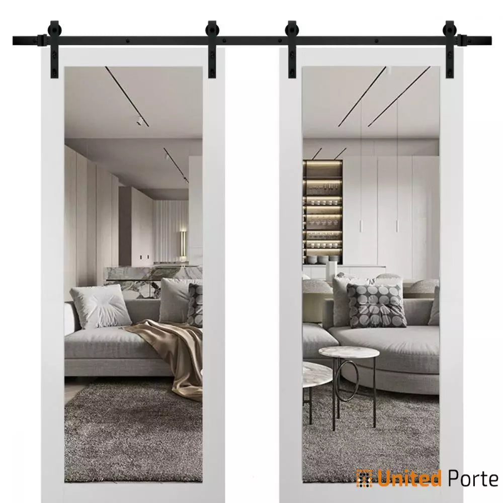 Sturdy Barn Door with Mirror | Modern Solid Panel Interior Doors I Buy Doors Online