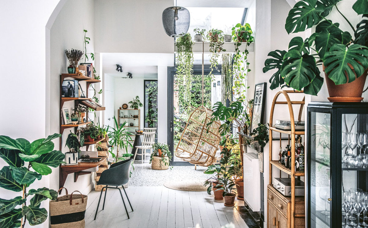 Photo inspiration: Gallery Detail: The Power Of Plants Incorporating Greenery Into Your Home