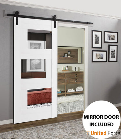 Modern Barn Door with Mirror | Solid Panel Interior Doors | Buy Doors Online